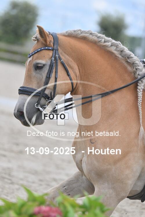 250913 1010