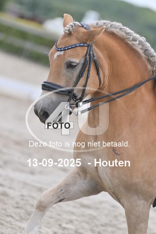 250913 1017