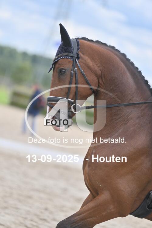 250913 1082