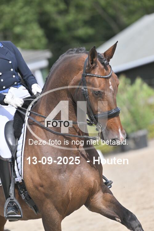 250913 1173