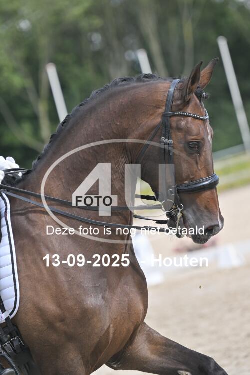 250913 1176