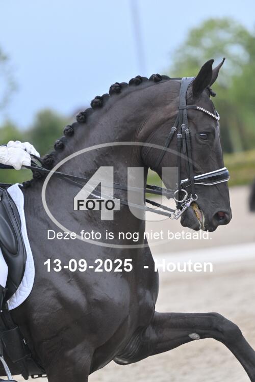 250913 2488