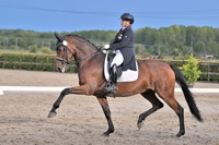 13-09-2025 Houten