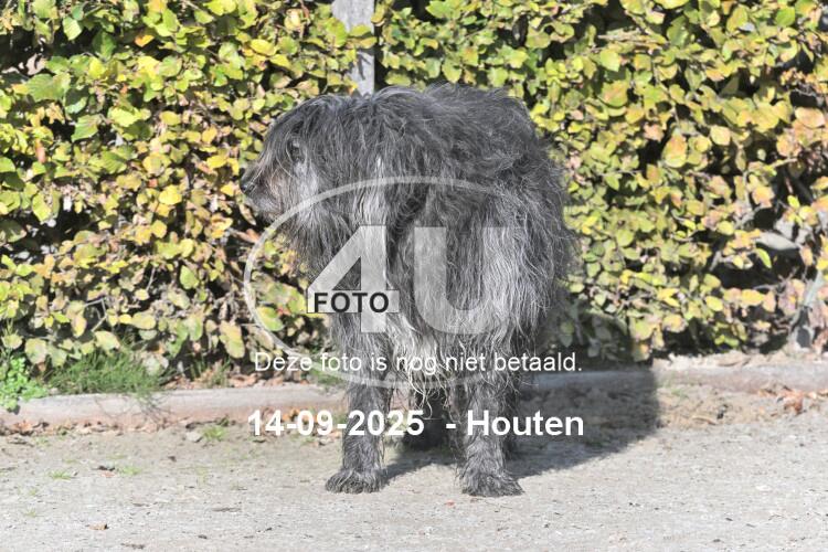 250914 0415