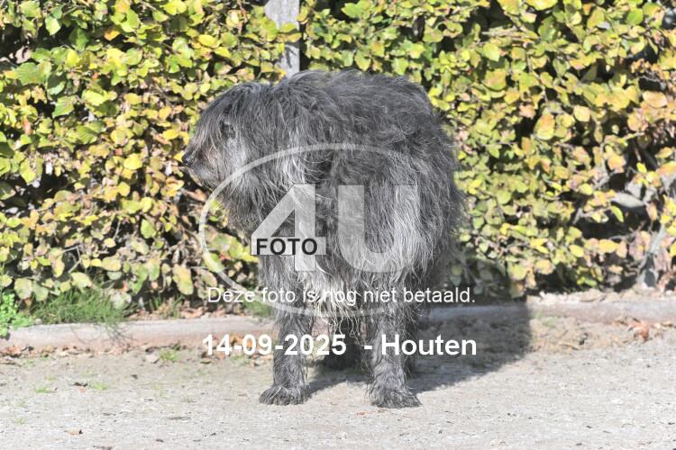 250914 0416