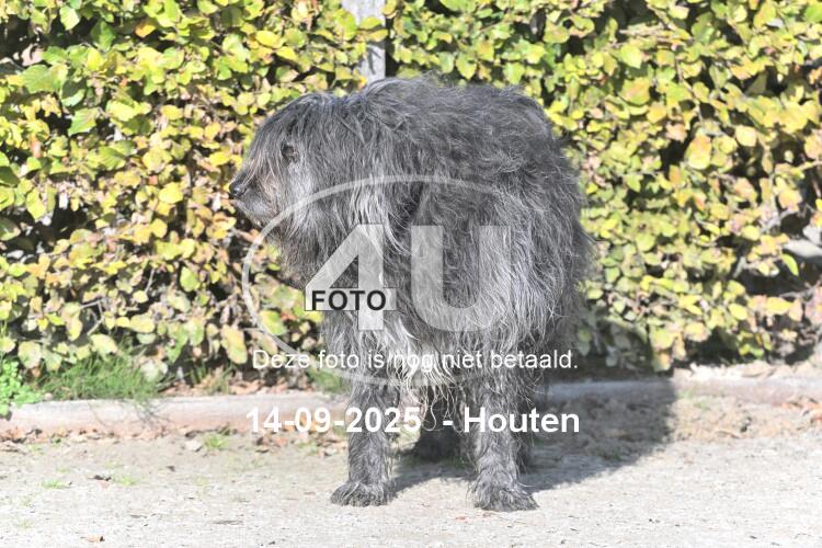 250914 0417