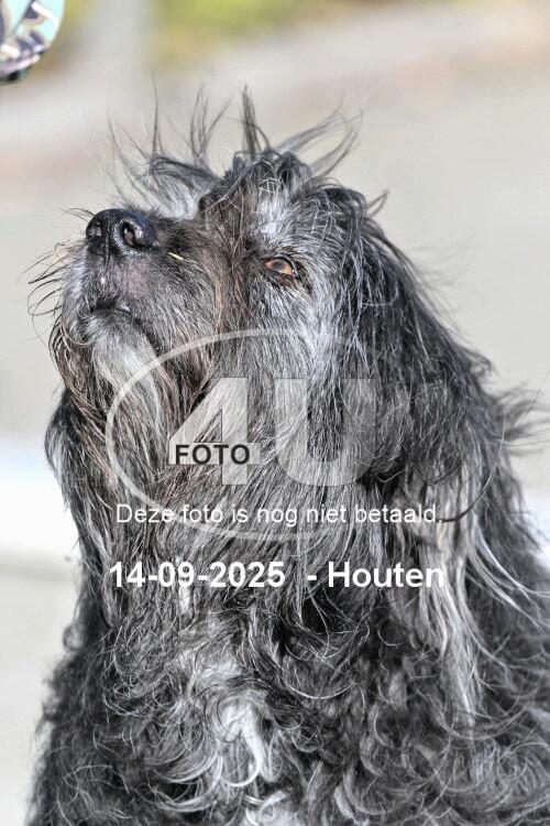 250914 0419