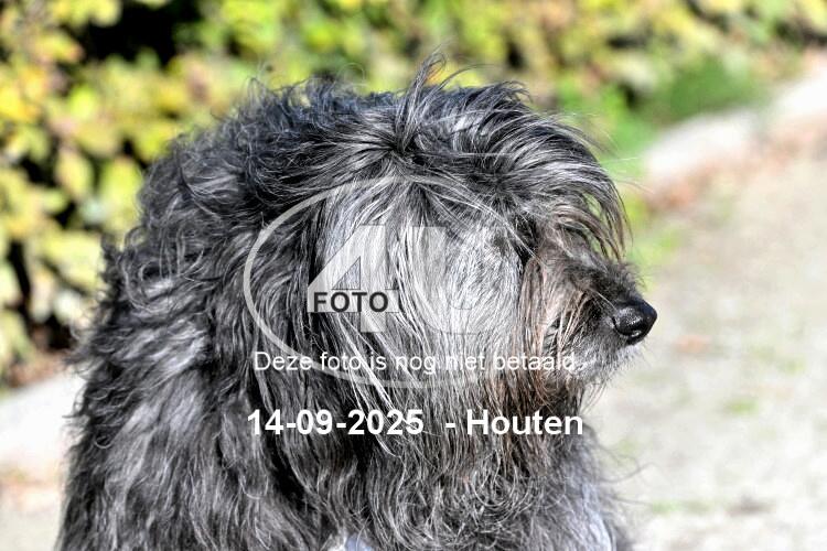 250914 0462