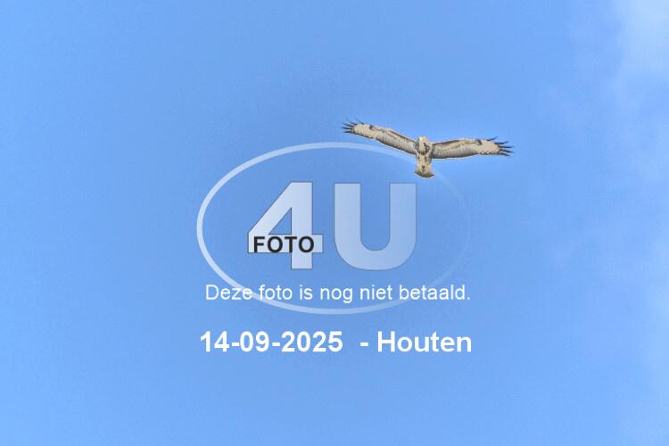 250914 0702
