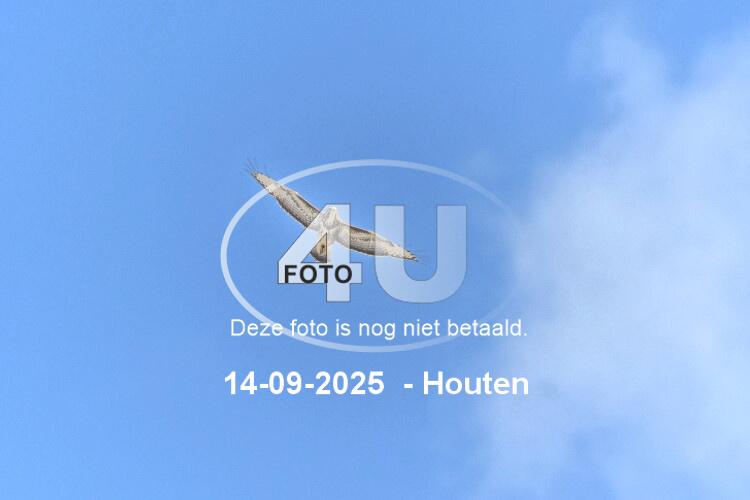 250914 0703