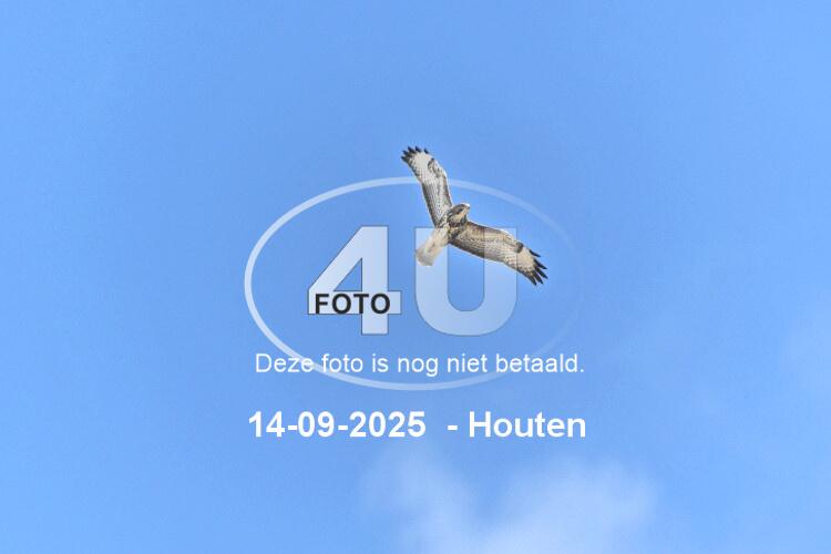 250914 0704