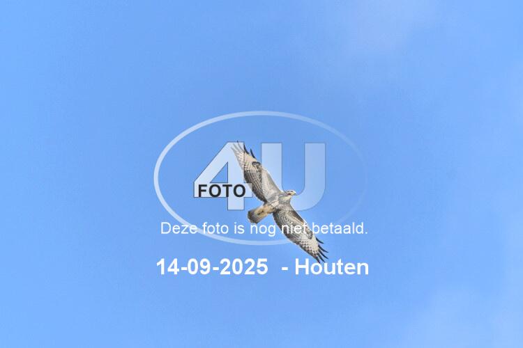 250914 0705