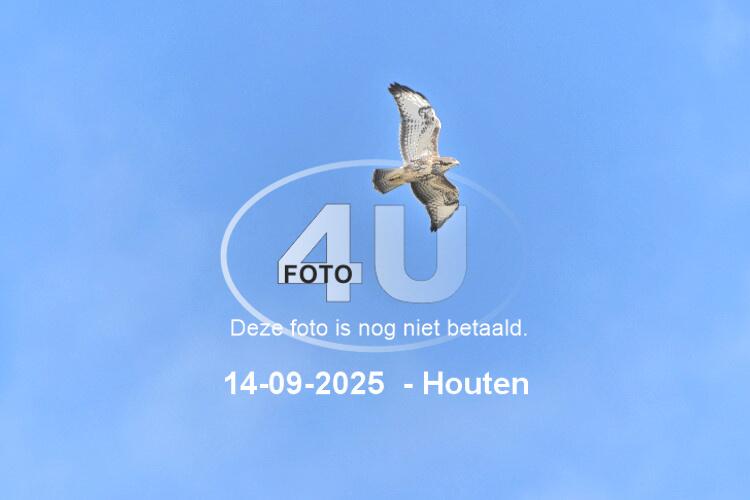250914 0706