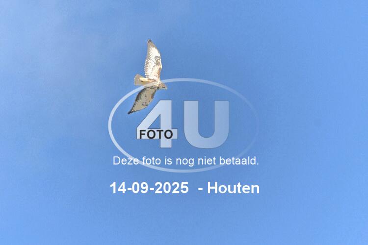 250914 0708