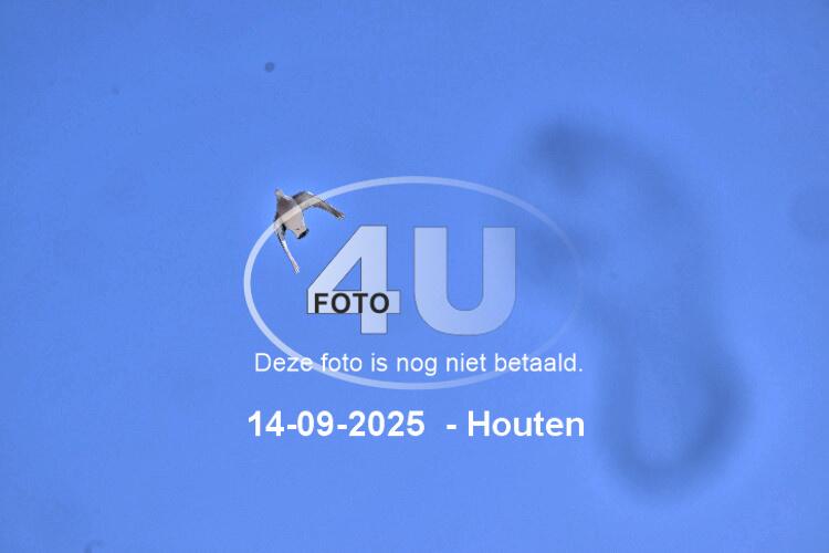 250914 0979