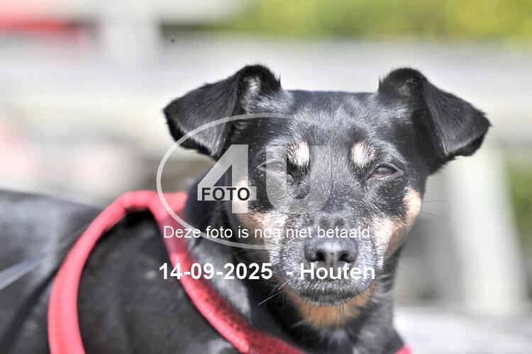 250914 1103