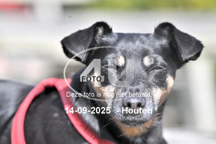 250914 1104