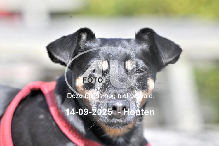 250914 1105