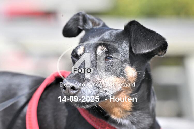 250914 1106