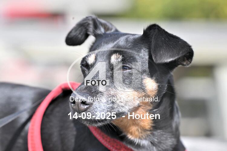 250914 1107