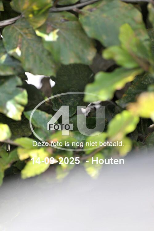250914 1111