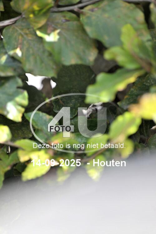 250914 1112