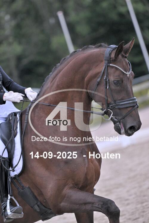 250914 2772