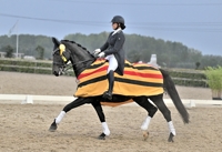 14-09-2025 Houten