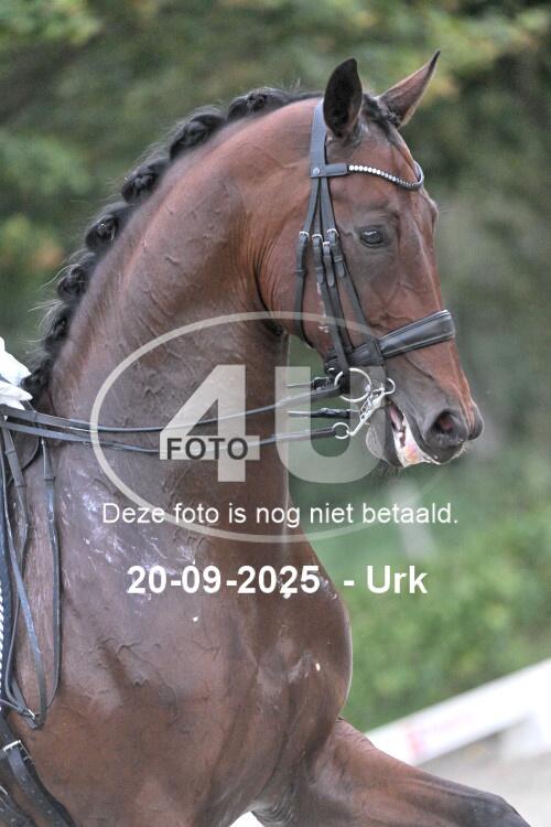 250920 0005