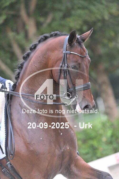 250920 0036