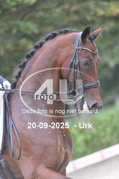 250920 0037