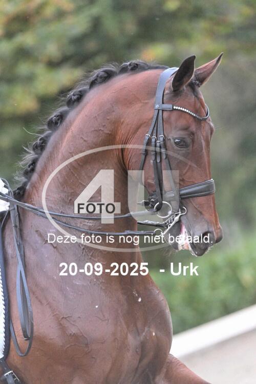 250920 0038