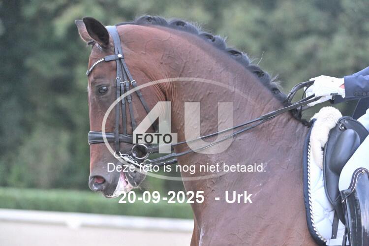 250920 0048