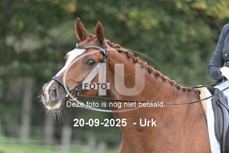 250920 0159