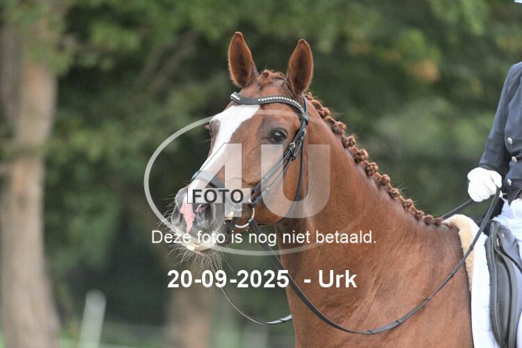250920 0160