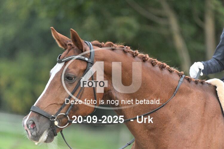 250920 0162