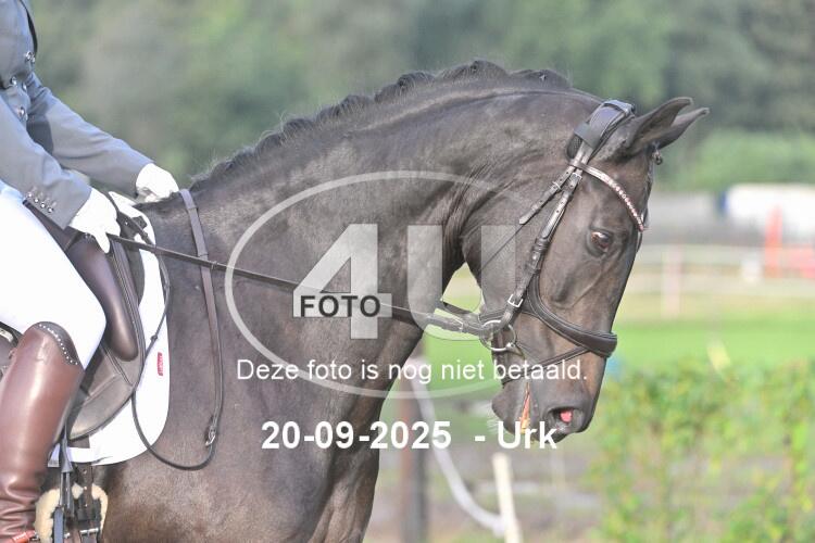 250920 0223