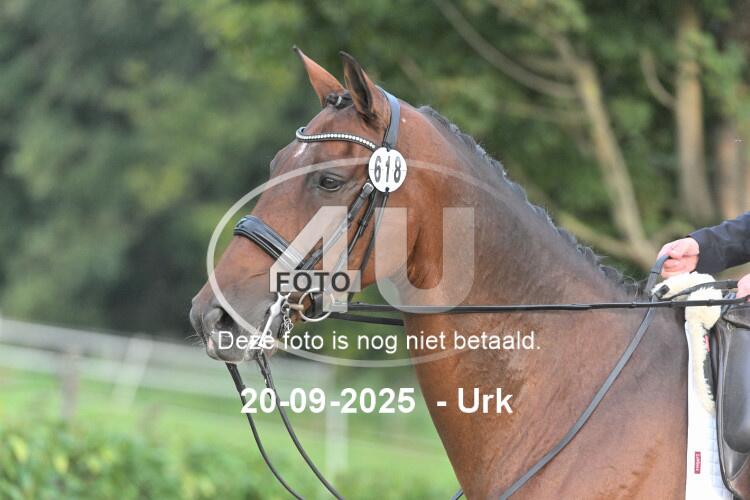 250920 0229