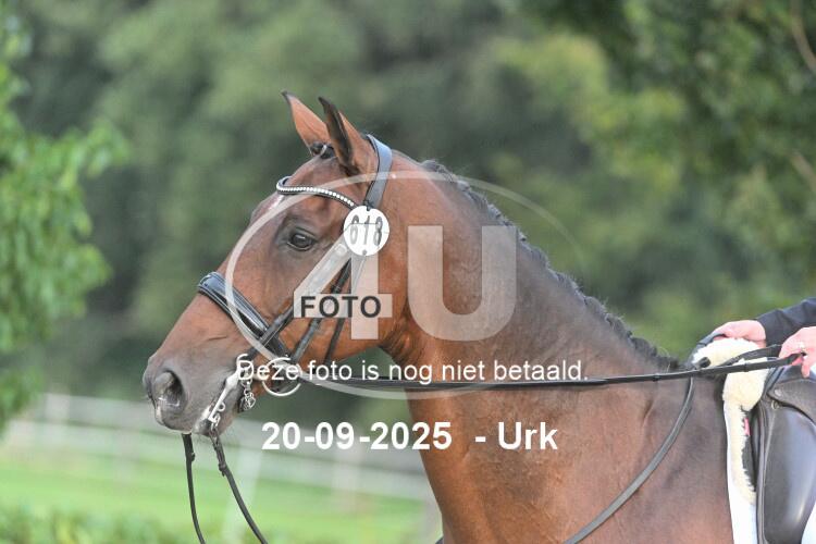 250920 0230