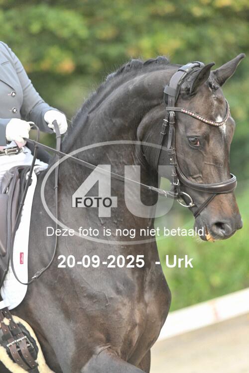 250920 0257
