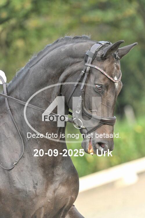 250920 0258