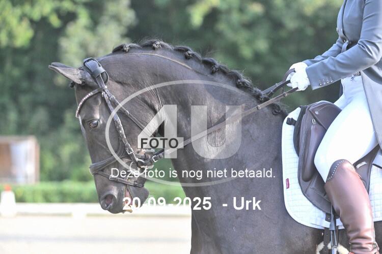 250920 0274