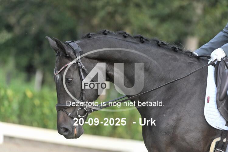 250920 0301