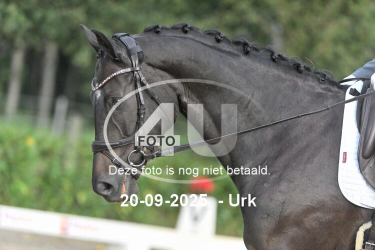 250920 0302