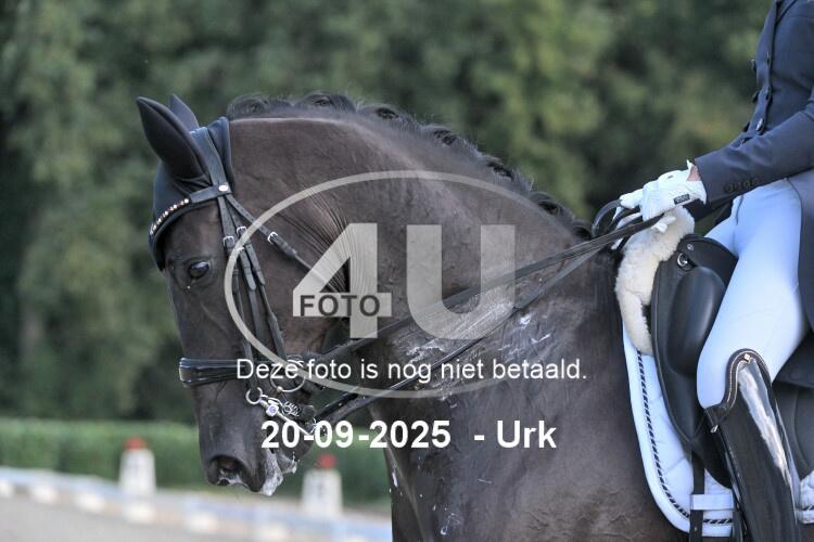250920 0347