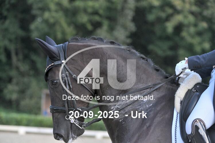 250920 0348