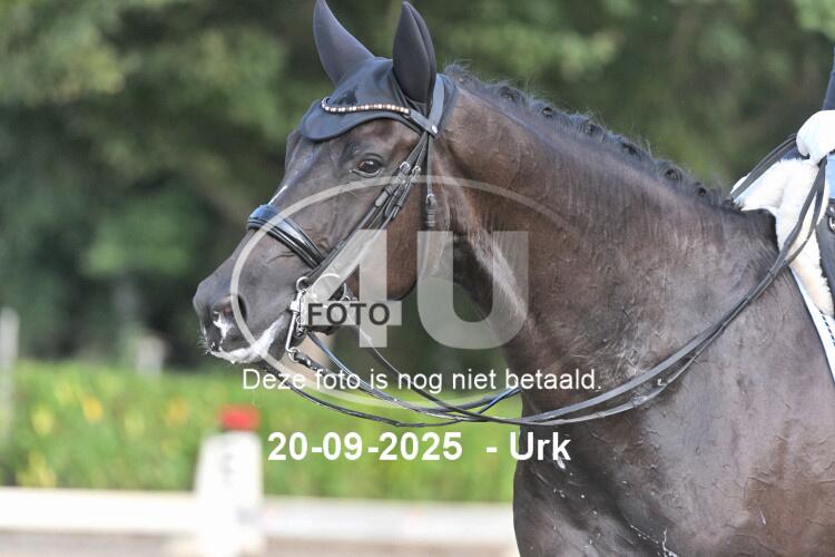 250920 0376