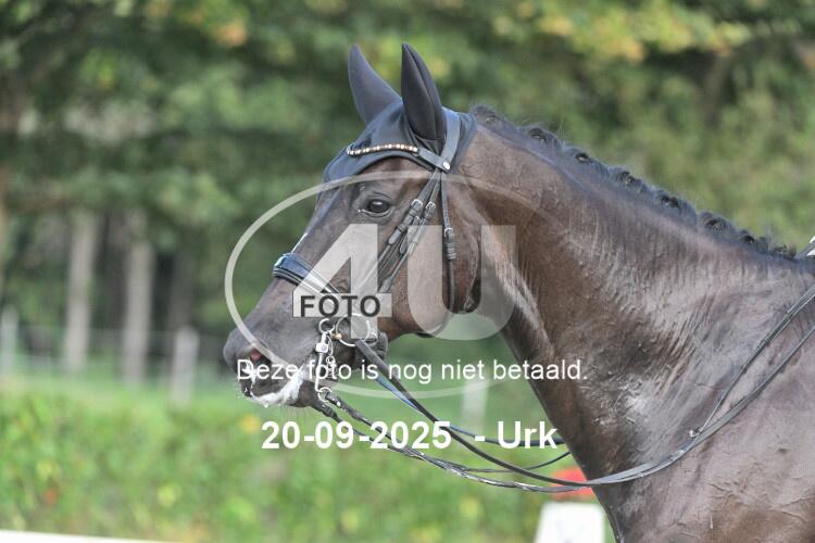 250920 0379