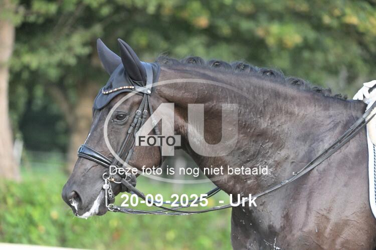 250920 0380