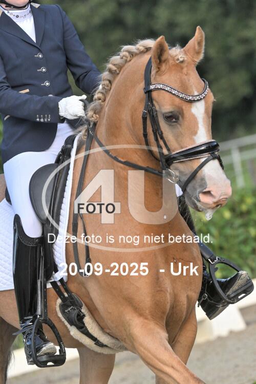 250920 0412